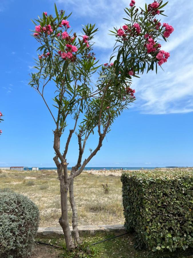 Beautiful Apartment 1 Minute Walk To The Beach Sagunto Exterior foto
